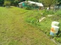 IMG_20250815_091745