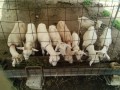 IMG_20250815_092427