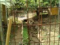 IMG_20250815_092454
