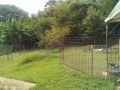 IMG_20250815_092506