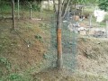IMG_20250815_094844