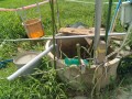 IMG_20250816_102938