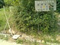 IMG_20250816_102947