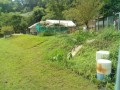 IMG_20250816_103030