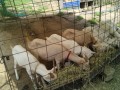 IMG_20250816_103635
