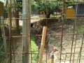 IMG_20250816_103638