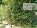IMG_20250817_103310