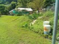 IMG_20250817_103346