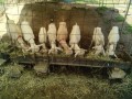 IMG_20250817_103800