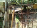 IMG_20250817_103819