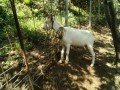 IMG_20250817_104149