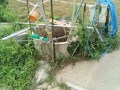IMG_20250818_083403