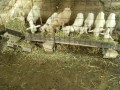 IMG_20250818_084110