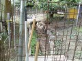 IMG_20250818_084129