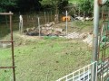 IMG_20250818_084147