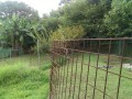 IMG_20250818_084149