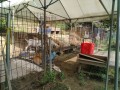 IMG_20250818_085116