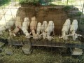IMG_20250819_085606