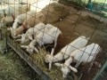 IMG_20250819_085612