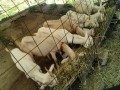 IMG_20250819_085625