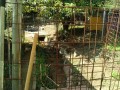 IMG_20250819_085628