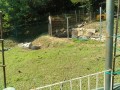 IMG_20250819_085652