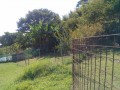 IMG_20250819_085654