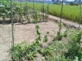 IMG_20250819_111923