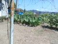 IMG_20250819_111926