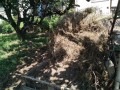 IMG_20250819_111930