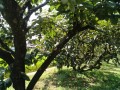 IMG_20250819_111933