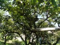 IMG_20250819_111935