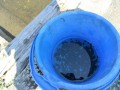 IMG_20250819_113435