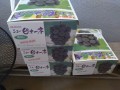 IMG_20250820_092216