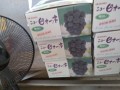 IMG_20250820_093155