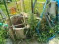 IMG_20250820_104507