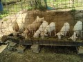 IMG_20250820_110104