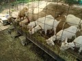 IMG_20250820_110107
