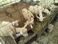 IMG_20250820_110114
