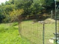 IMG_20250820_110131