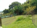 IMG_20250820_110132
