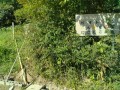 IMG_20250821_084125