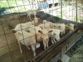 IMG_20250821_084359