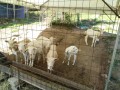 IMG_20250821_084406