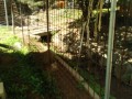 IMG_20250821_084422
