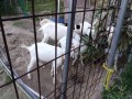 IMG_20250821_172305