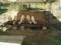 IMG_20250822_101122