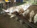 IMG_20250822_101126