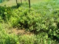 IMG_20250822_104559