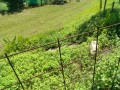 IMG_20250822_104624